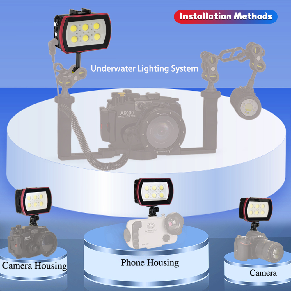 Seafrogs 40Meter Waterproof LE - Photography Lighting Brands 评论和价格